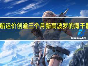 因巴拿马型船运价创逾三个月新高波罗的海干散货运价指数上涨