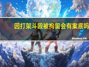 因打架斗殴被拘留会有案底吗