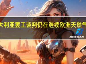 因澳大利亚罢工谈判仍在继续欧洲天然气开盘下跌2%