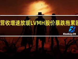 因营收增速放缓LVMH股价暴跌拖累欧洲同行