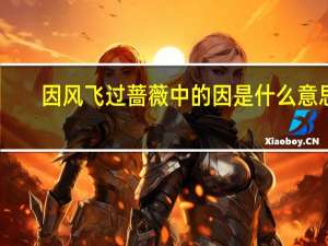 因风飞过蔷薇中的因是什么意思