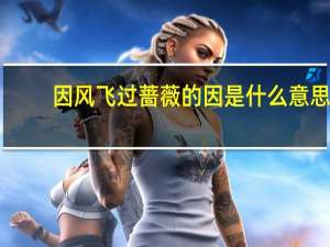 因风飞过蔷薇的因是什么意思