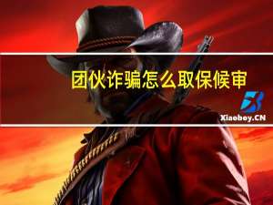 团伙诈骗怎么取保候审