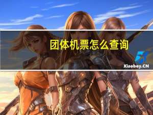 团体机票怎么查询