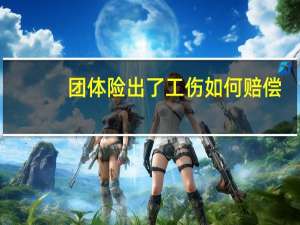 团体险出了工伤如何赔偿