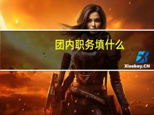 团内职务填什么