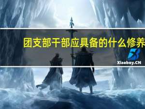 团支部干部应具备的什么修养