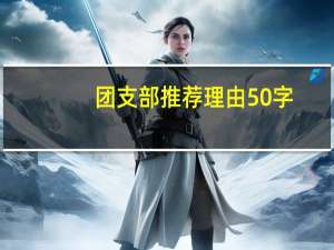 团支部推荐理由50字
