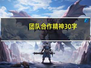 团队合作精神30字（团队合作精神）
