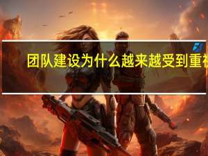 团队建设为什么越来越受到重视