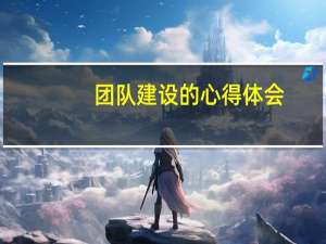团队建设的心得体会