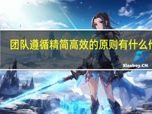 团队遵循精简高效的原则有什么作用
