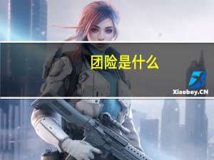 团险是什么
