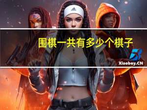 围棋一共有多少个棋子