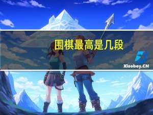 围棋最高是几段
