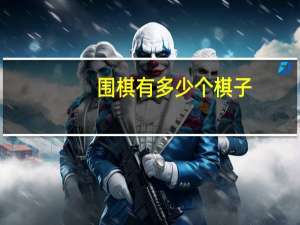围棋有多少个棋子_