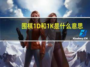 围棋1D和1K是什么意思