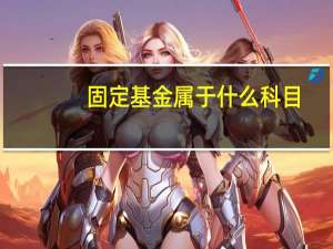 固定基金属于什么科目