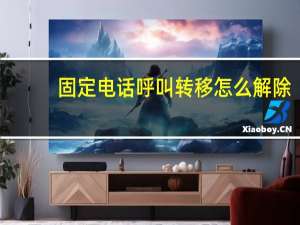 固定电话呼叫转移怎么解除（固定电话呼叫转移）