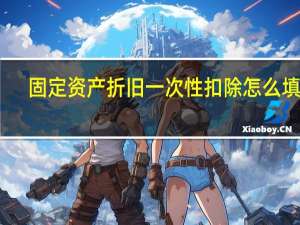 固定资产折旧一次性扣除怎么填表