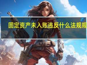 固定资产未入账违反什么法规规定（固定资产未入账违反什么法规）