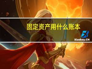 固定资产用什么账本