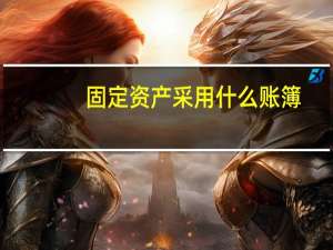 固定资产采用什么账簿
