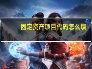 固定资产项目代码怎么填