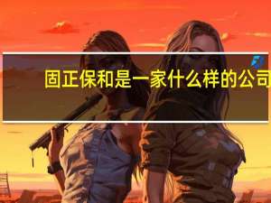 固正保和是一家什么样的公司