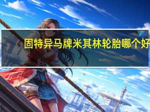 固特异马牌米其林轮胎哪个好