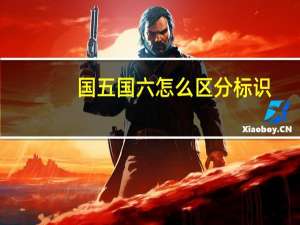 国五国六怎么区分标识