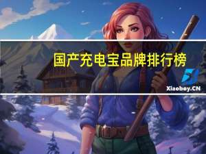 国产充电宝品牌排行榜
