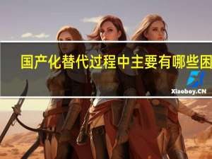 国产化替代过程中主要有哪些困难