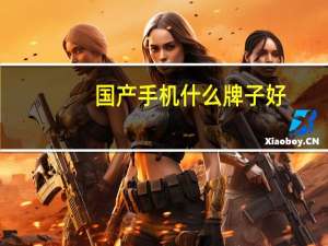 国产手机什么牌子好（手机什么牌子好）