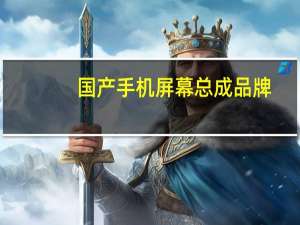 国产手机屏幕总成品牌