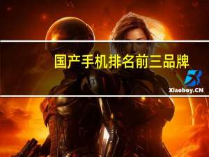 国产手机排名前三品牌（国产手机排名）