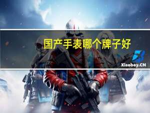 国产手表哪个牌子好