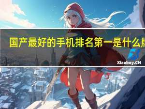 国产最好的手机排名第一是什么牌子