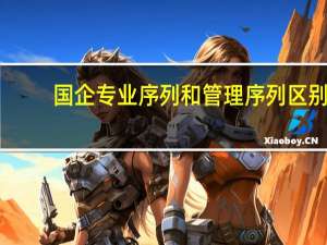 国企专业序列和管理序列区别