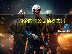 国企的子公司值得去吗