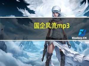 国企风流mp3（国企风流）