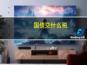 国债交什么税