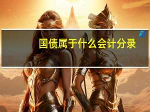 国债属于什么会计分录