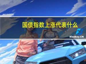 国债指数上涨代表什么