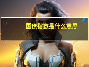 国债指数是什么意思