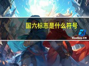 国六标志是什么符号
