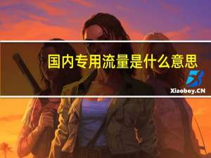 国内专用流量是什么意思