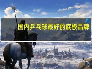 国内乒乓球最好的底板品牌