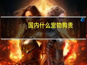 国内什么宠物狗贵