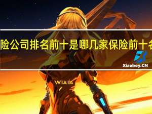 国内保险公司排名前十是哪几家 保险前十名有哪些公司